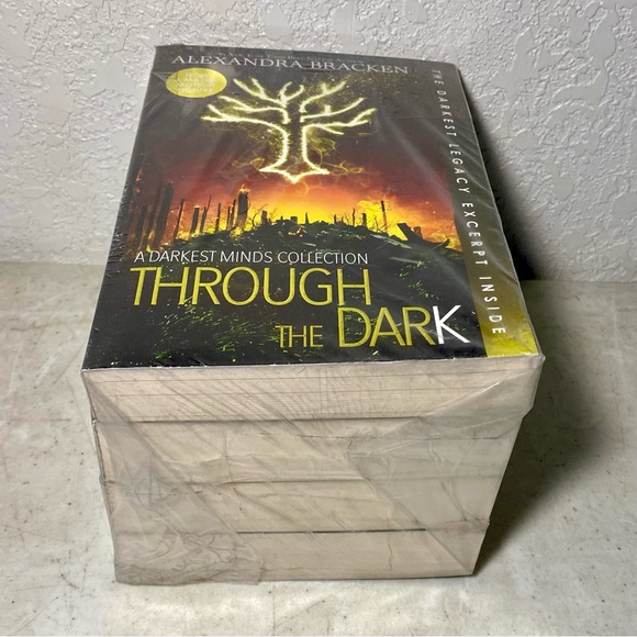 DARKEST MINDS Young Adult Fantasy Series By Alexandra Bracken Paperback Set 1-4 - Picture 7 of 8